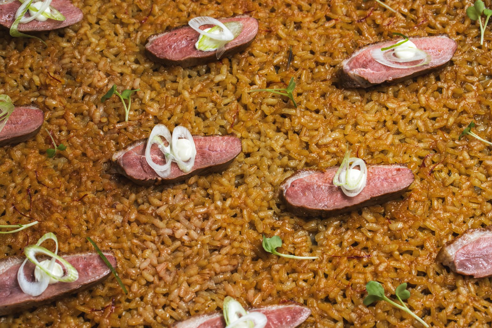 Rice with duck and spring onion