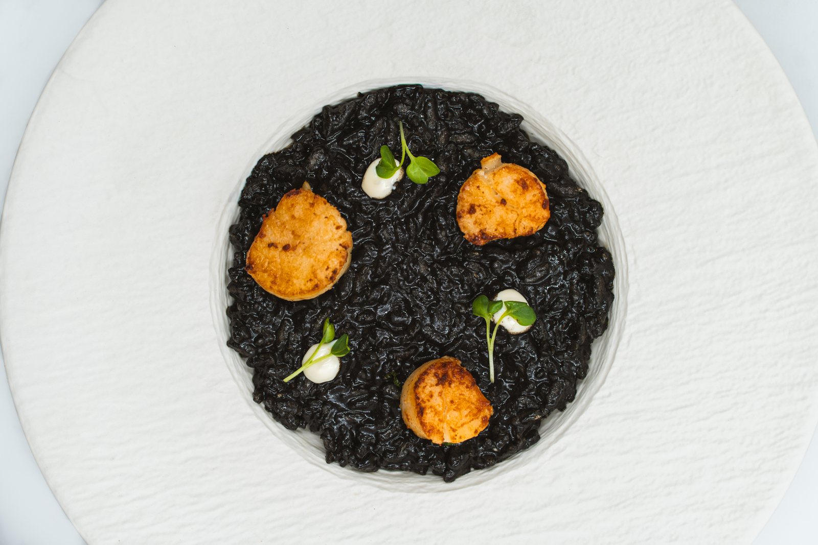 Squid-ink rice with a seared scallop